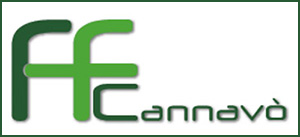 fondazionefc